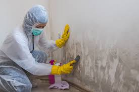 Mold Remediation for Vacation Homes in Lake Camelot, WI